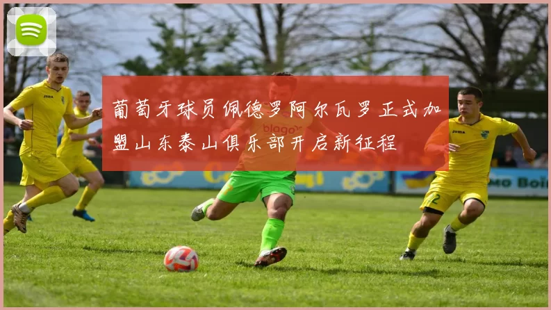 葡萄牙球员佩德罗阿尔瓦罗正式加盟山东泰山俱乐部开启新征程